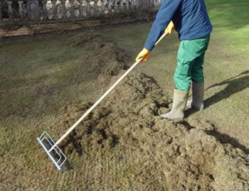 Thatch rake 28 inch swath, 40 tines